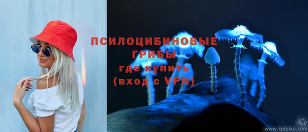 твердый Нефтегорск