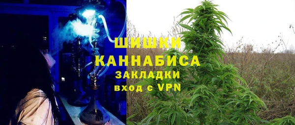 винт Нея