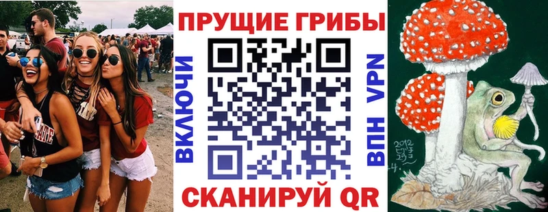 blacksprut сайт Иноземцево Галлюциногенные грибы GOLDEN TEACHER